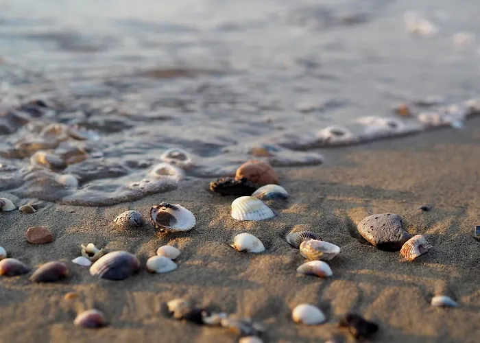 Enjoy The Sun From Our Lovely Terrace * Bibione